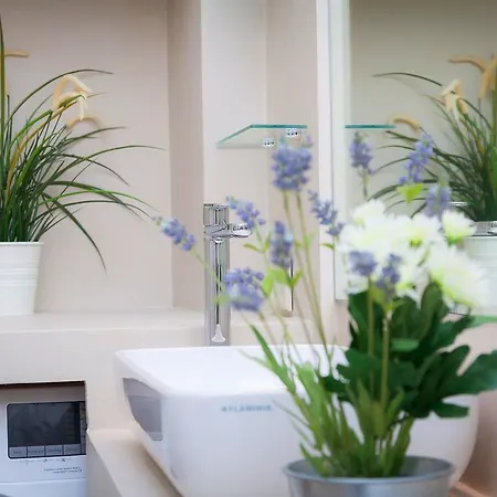 Castel Bolognese רומא